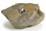 Herkimer Diamonds in Matrix - The Ace of Diamonds Mine, New York #324507-3